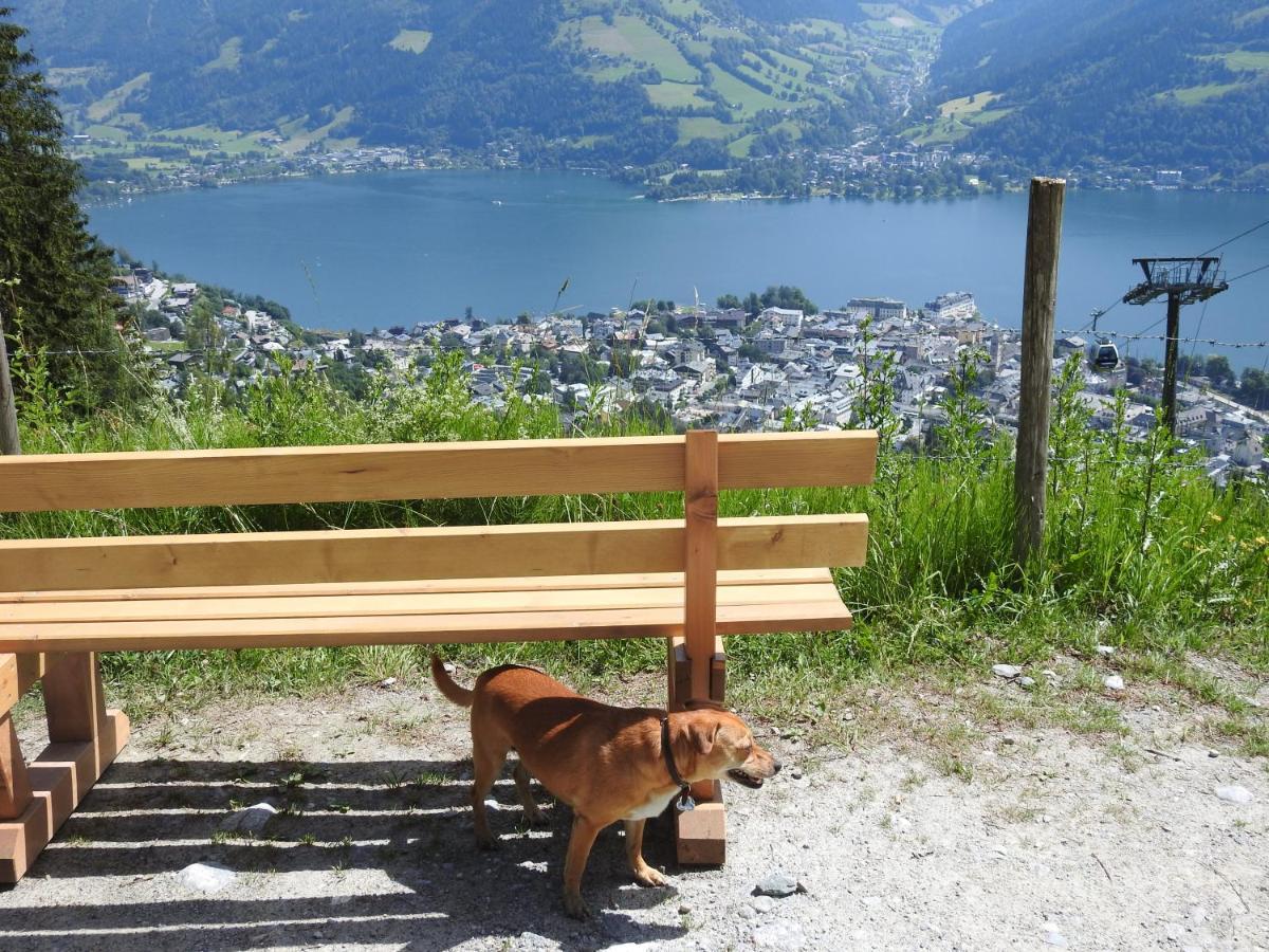Pension Alpenrose เซลล์อัมเซ ภายนอก รูปภาพ