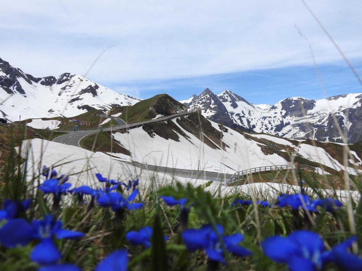 Pension Alpenrose เซลล์อัมเซ ภายนอก รูปภาพ