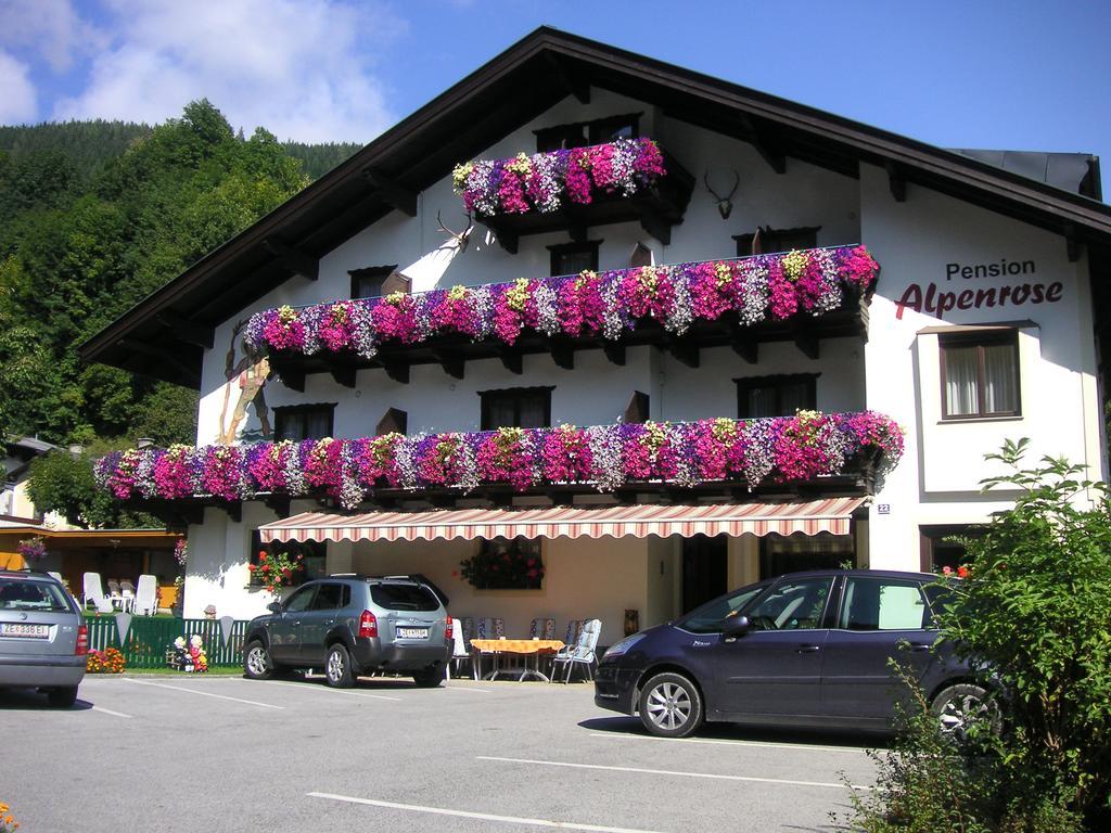 Pension Alpenrose เซลล์อัมเซ ภายนอก รูปภาพ